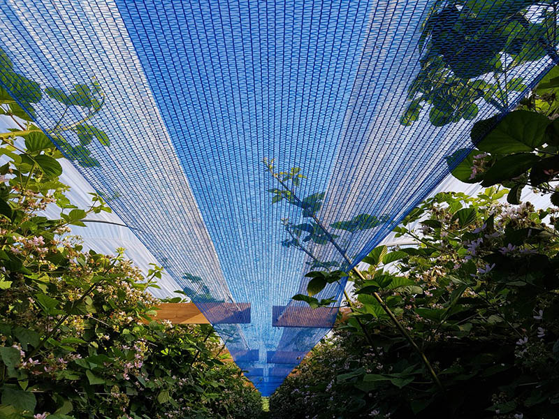 Horticulture Sun shade netting